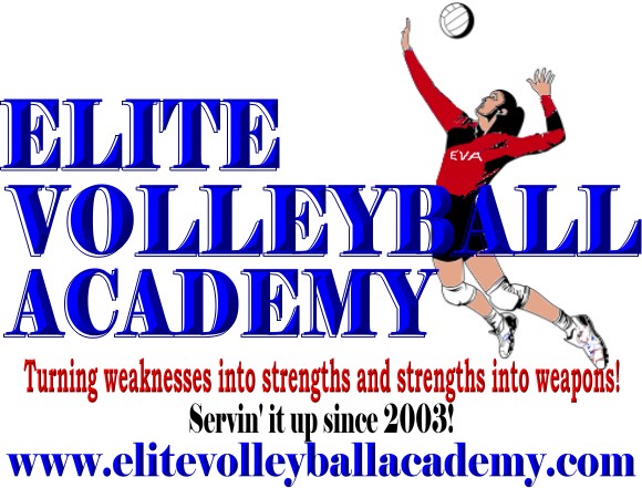 Elite Volleyball Academy - Volleyball Training and Instruction